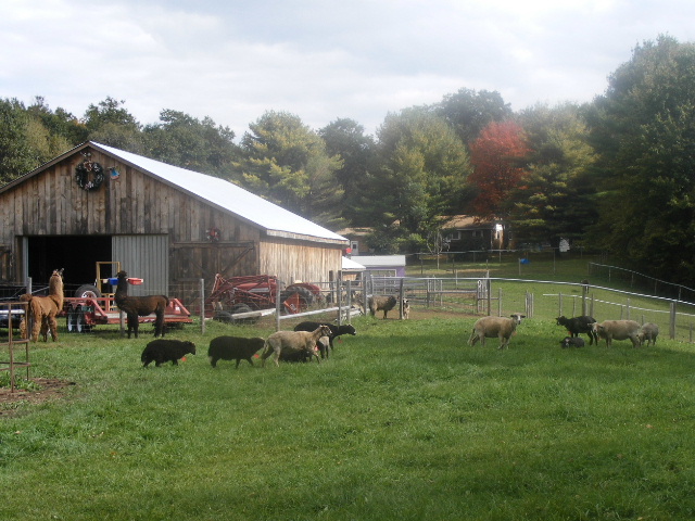 farm in fall